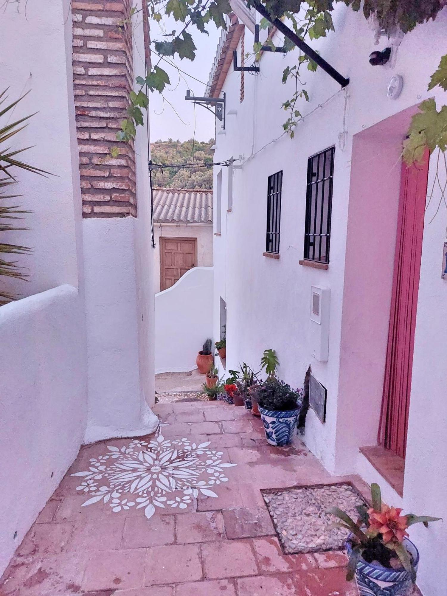 グラナダ Casa Balconヴィラ エクステリア 写真